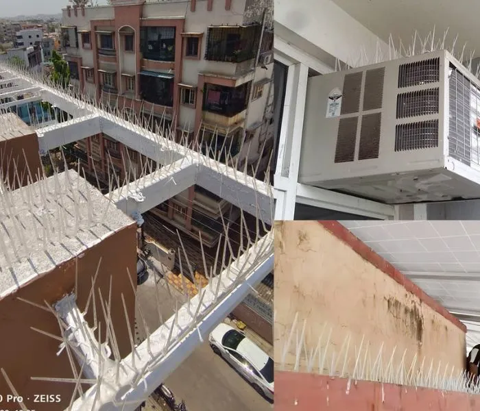Gurugram | SafeBalconies | Invisible Grills & Balcony Safety Nets