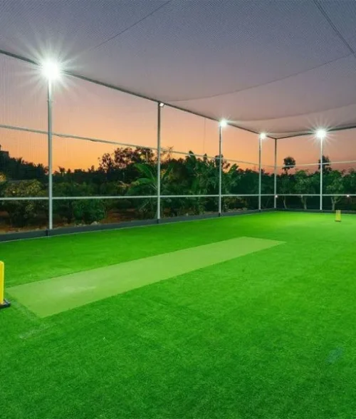 Cricket Practice Nets | SafeBalconies | Invisible Grills & Balcony Safety Nets